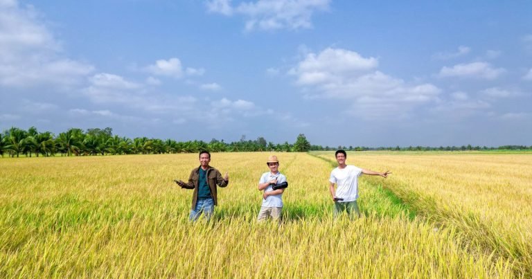 Ultimate Hanoi Countryside Guide: Co Loa Citadel & Delta Rural Paths