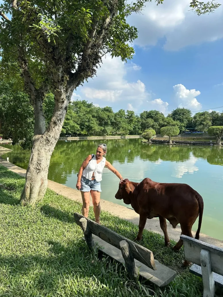 Hanoi Co Loa Countryside Farming Rice Field Walk