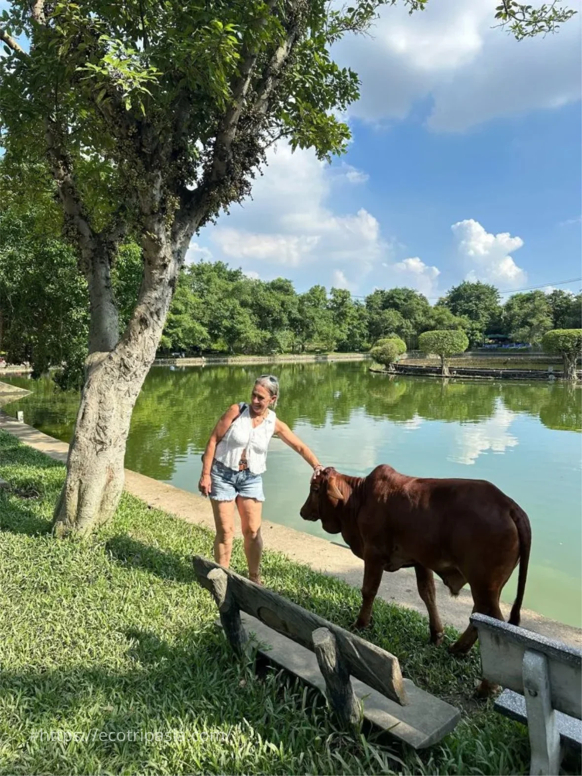 Hanoi Countryside Jeep Tour To Co Loa Citadel 05 — co loa citadel jeep tour by Eco Trip Asia