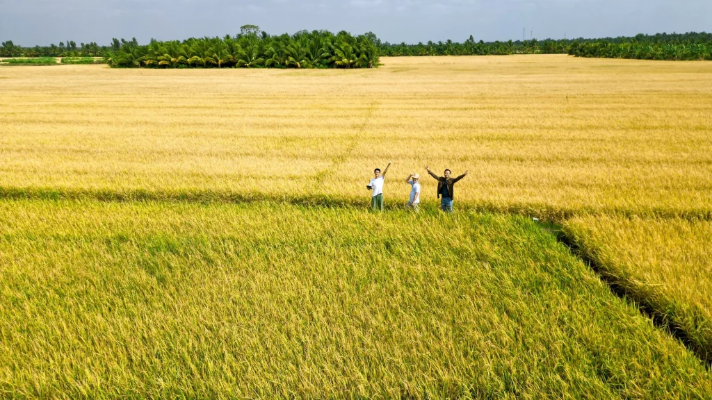 Hanoi Countryside Jeep Tour to Co Loa Citadel — 4
