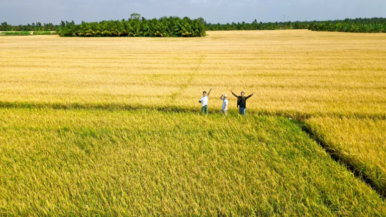 Hanoi Countryside Jeep Tour to Co Loa Citadel — 4