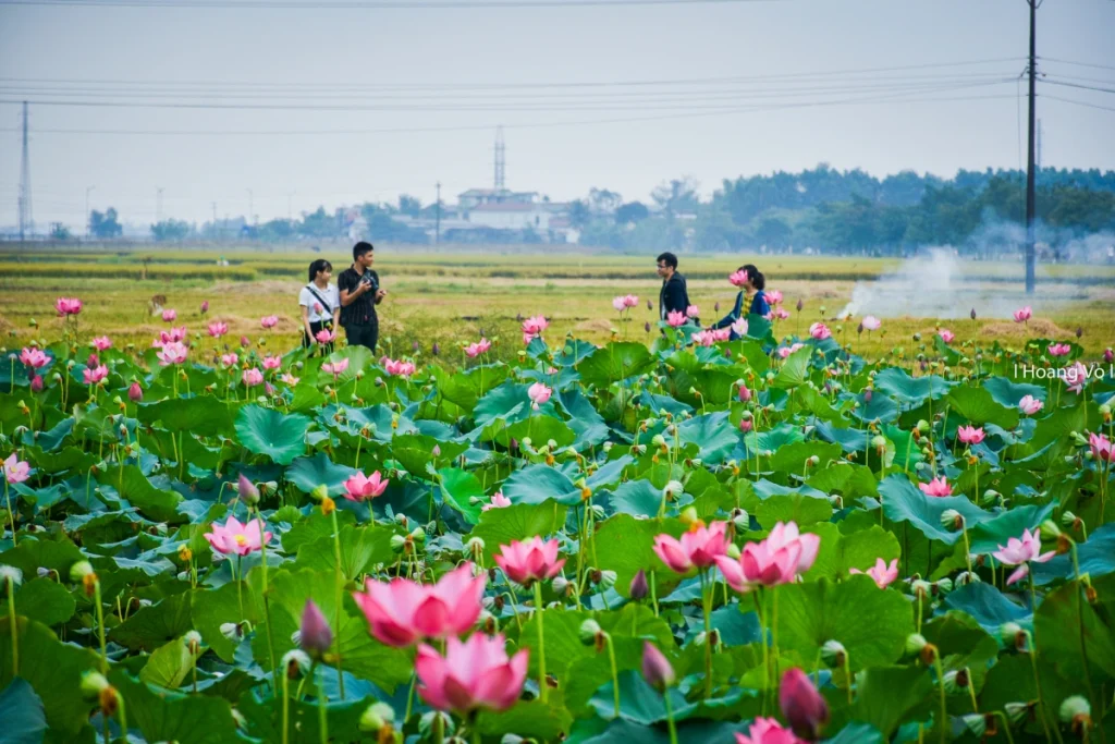 Quang Ba Flower Market — 2