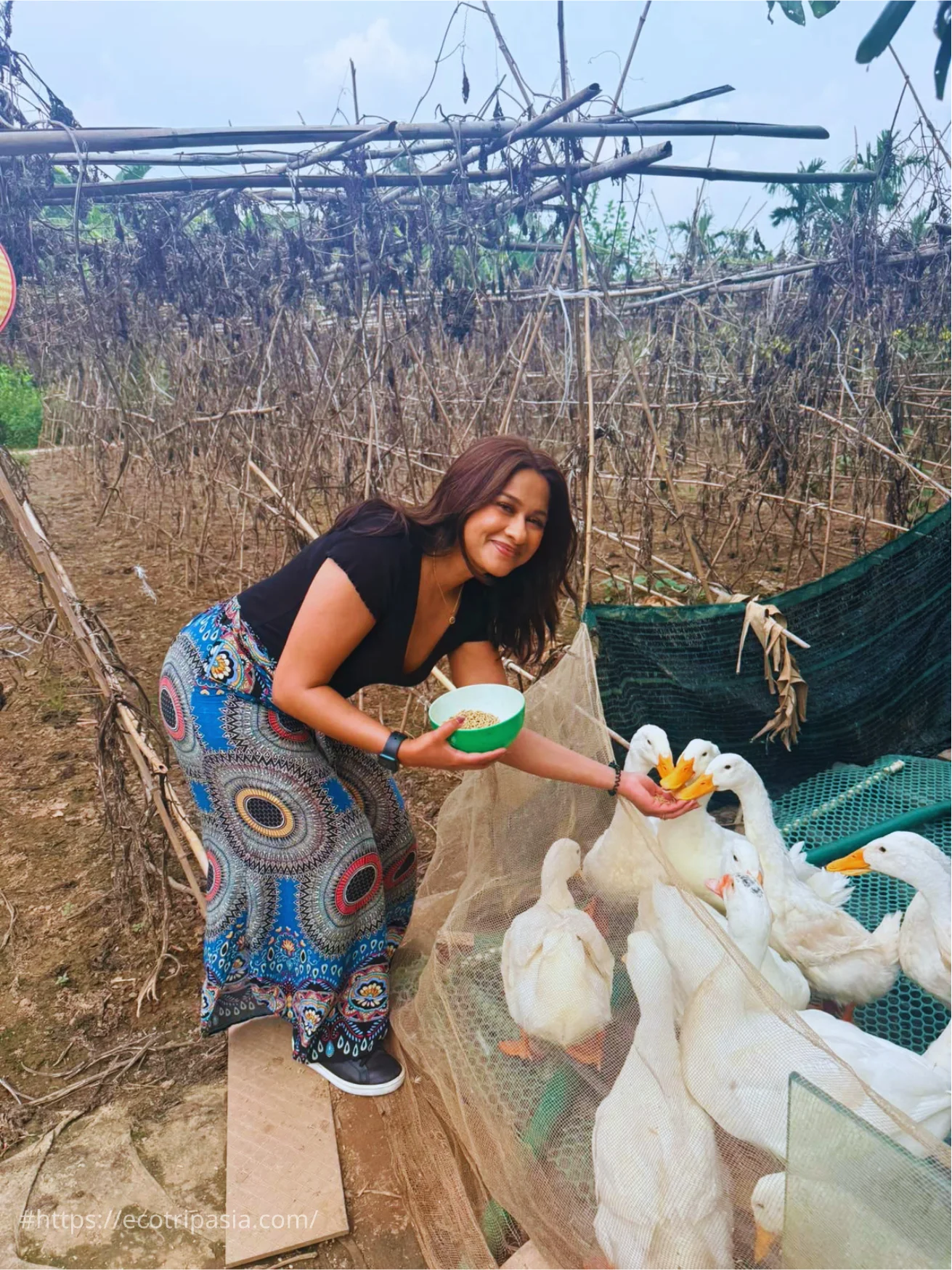 Herding Ducks On Banana Island — hanoi city tour with female riders by Eco Trip Asia