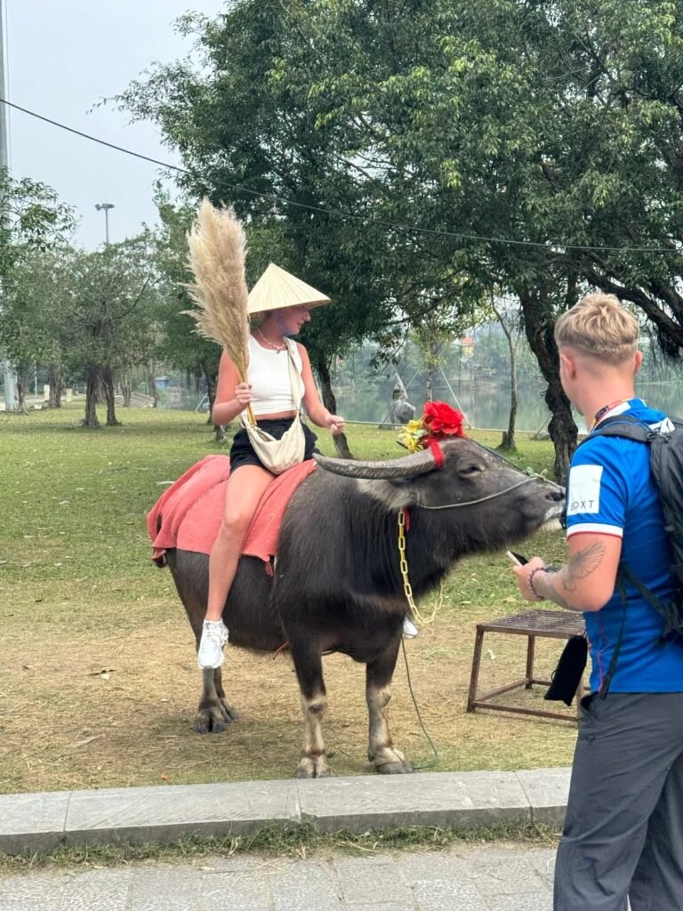 Guest riding a water buffalo in the Ninh Binh countryside
