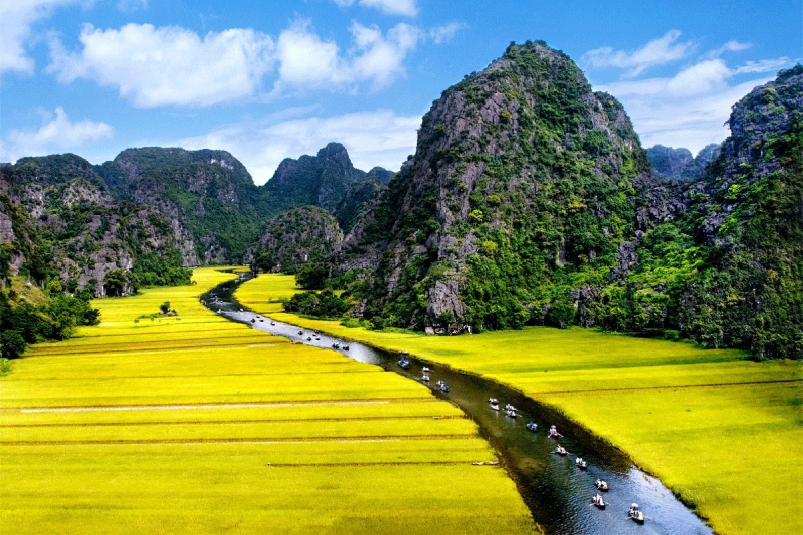 Tam Coc