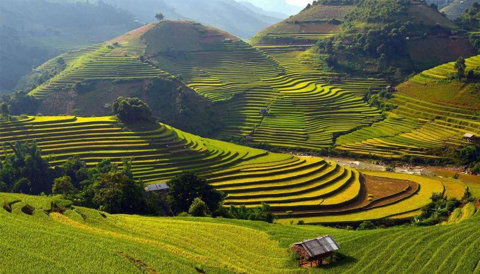 Sapa